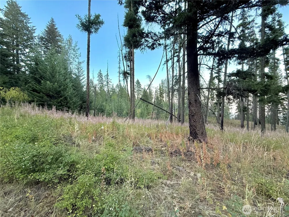 0 TBD Buzzard Lake Road Okanogan, WA 98840
