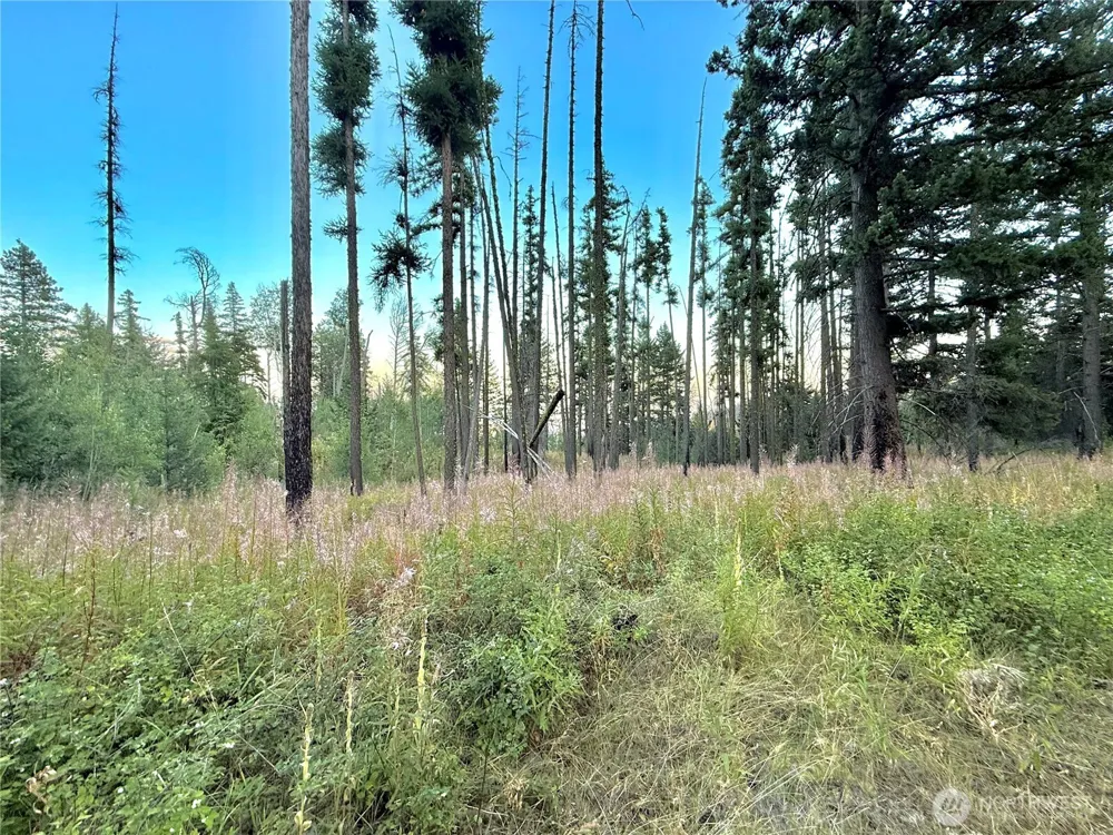 0 TBD Buzzard Lake Road Okanogan, WA 98840