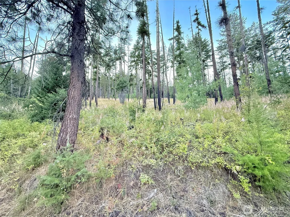 0 TBD Buzzard Lake Road Okanogan, WA 98840