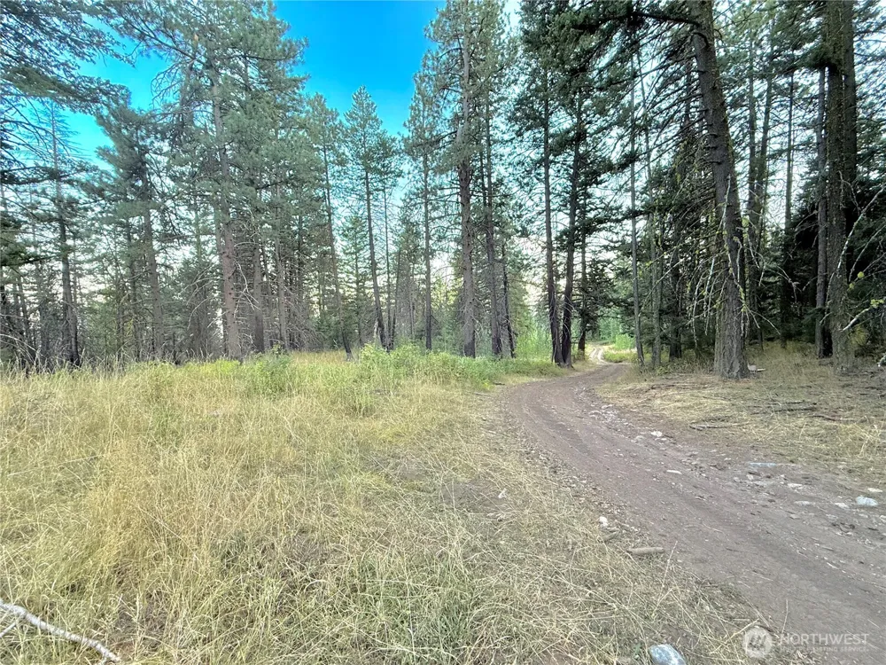 0 TBD Buzzard Lake Road Okanogan, WA 98840