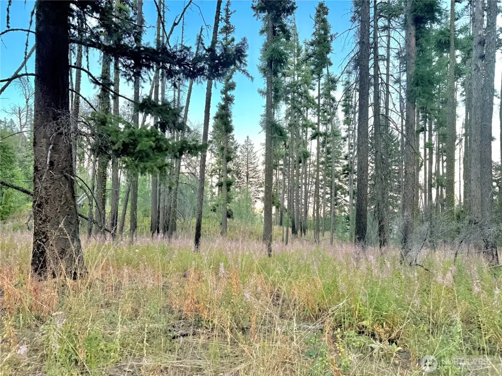 0 TBD Buzzard Lake Road Okanogan, WA 98840