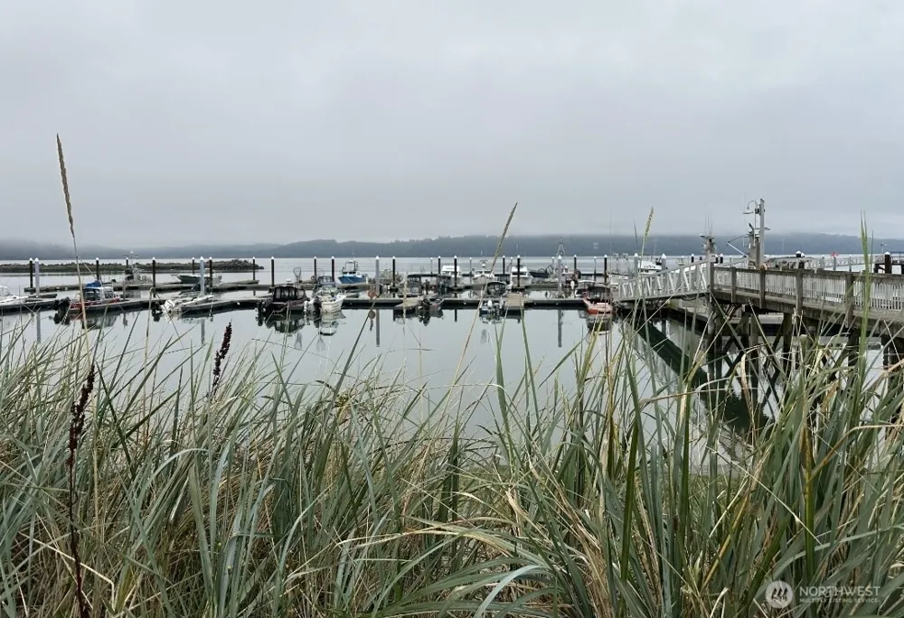2900 Wheeler Avenue Tokeland, WA 98590