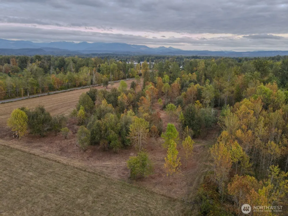 0 Mundy Loss Road E Buckley, WA 98321