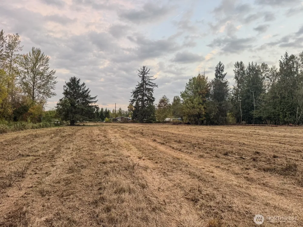 0 Mundy Loss Road E Buckley, WA 98321