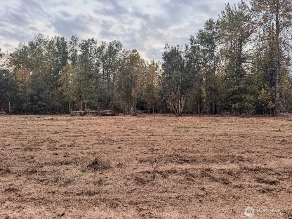 0 Mundy Loss Road E Buckley, WA 98321