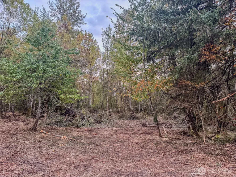 0 Mundy Loss Road E Buckley, WA 98321