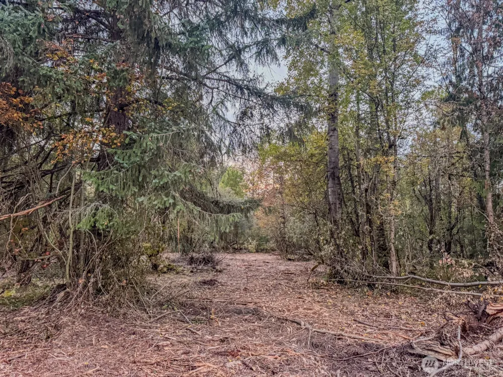 0 Mundy Loss Road E Buckley, WA 98321