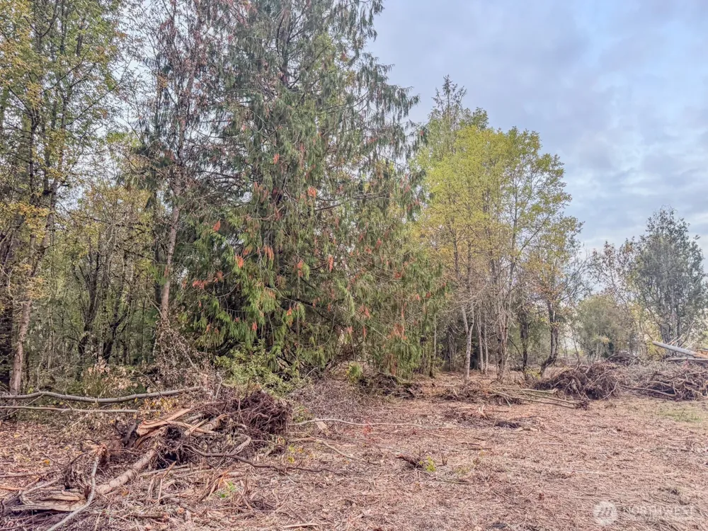 0 Mundy Loss Road E Buckley, WA 98321