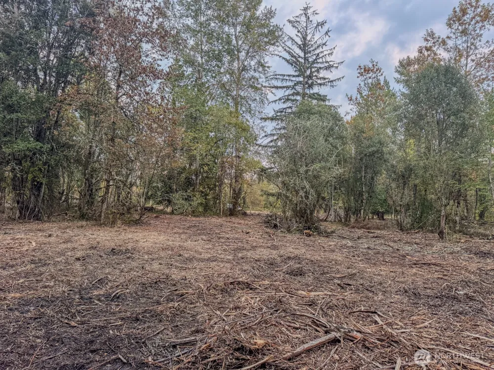 0 Mundy Loss Road E Buckley, WA 98321