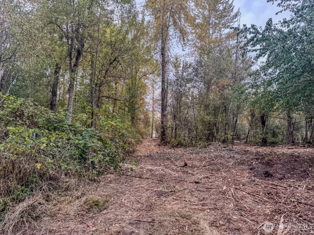 0 Mundy Loss Road E Buckley, WA 98321