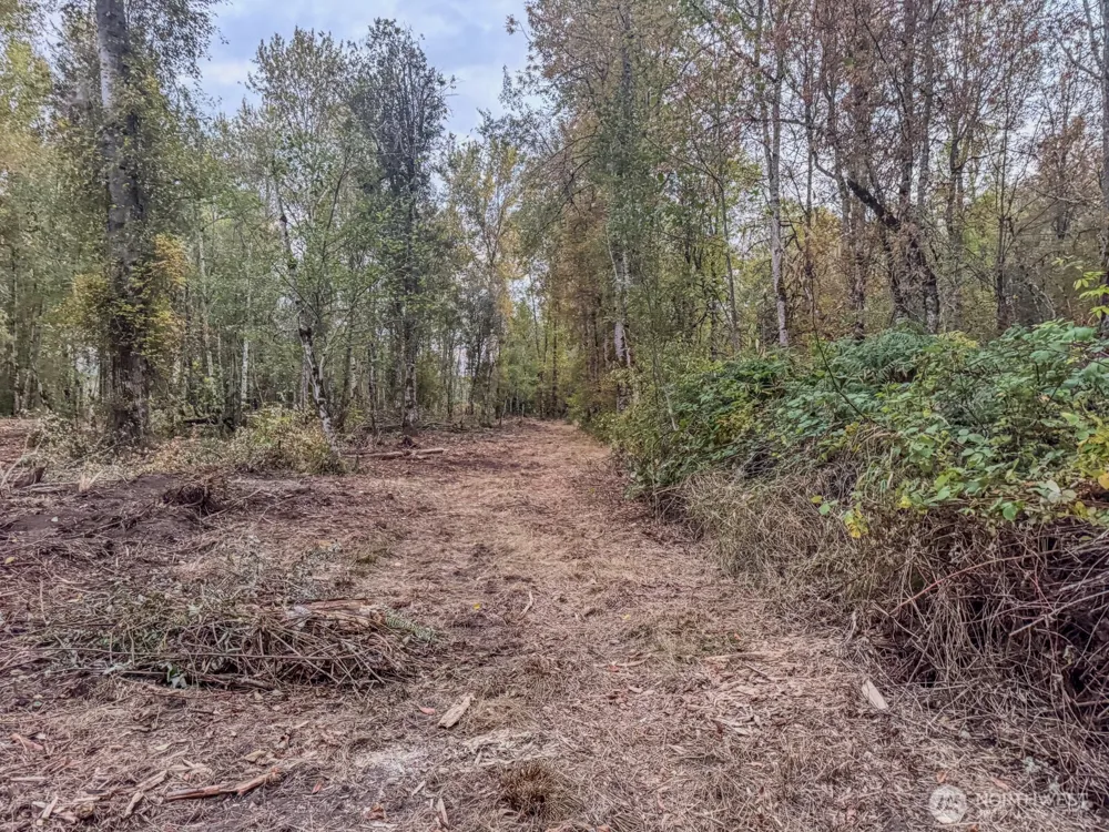 0 Mundy Loss Road E Buckley, WA 98321