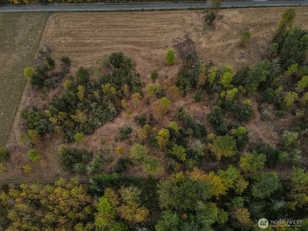 0 Mundy Loss Road E Buckley, WA 98321