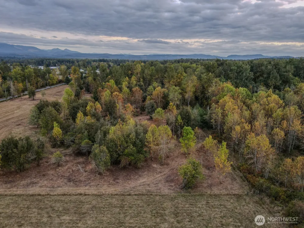 0 Mundy Loss Road E Buckley, WA 98321