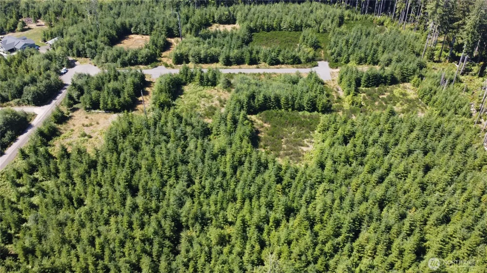 9999 King Johns-Lot 2 Crow SP Way Forks, WA 98331