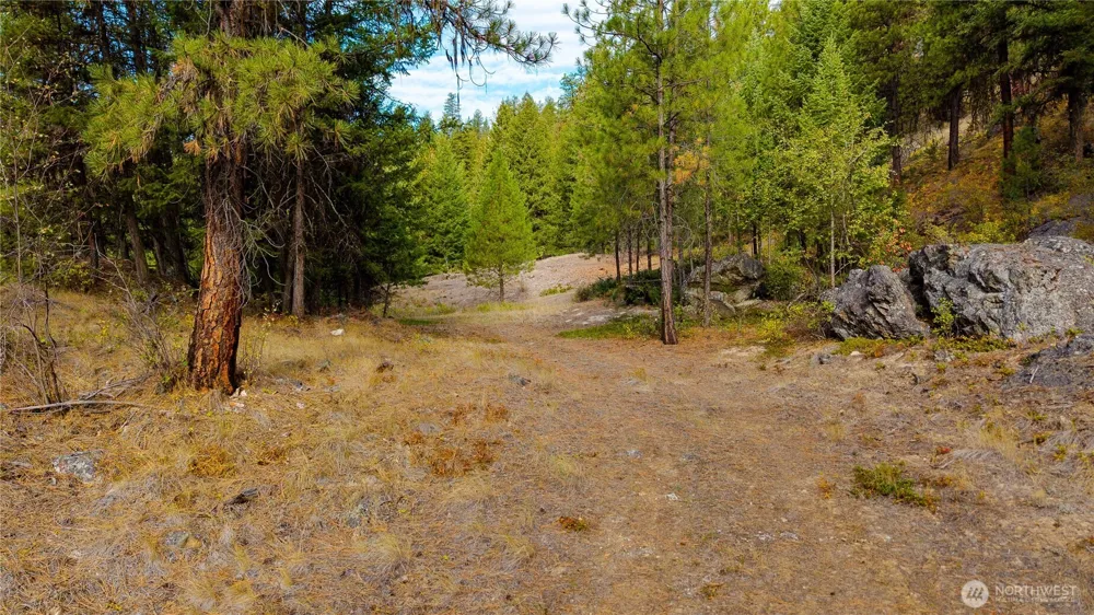 0 Eaglestone Road Tonasket, WA 98855