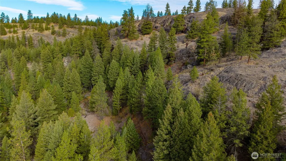 0 Eaglestone Road Tonasket, WA 98855