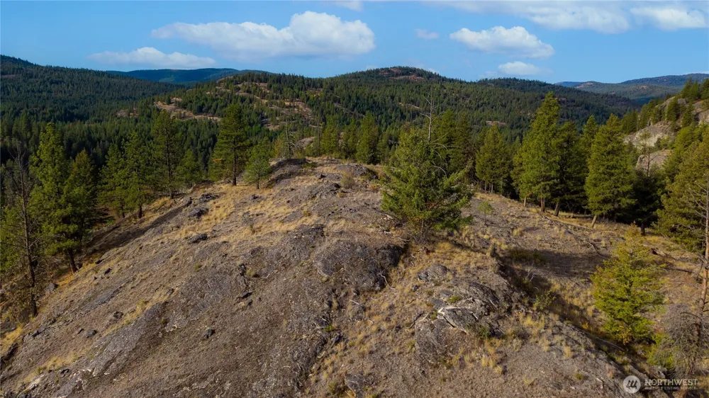 0 Eaglestone Road Tonasket, WA 98855