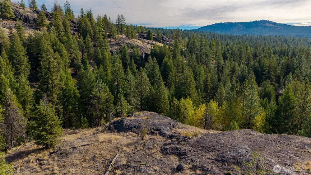 0 Eaglestone Road Tonasket, WA 98855