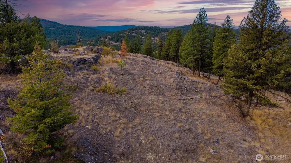 0 Eaglestone Road Tonasket, WA 98855