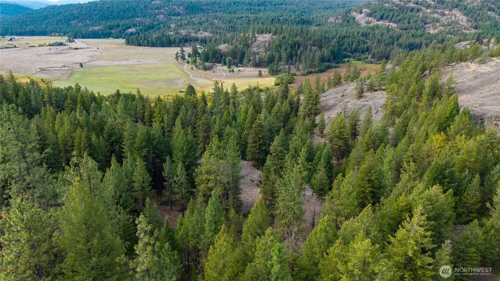 0 Eaglestone Road Tonasket, WA 98855