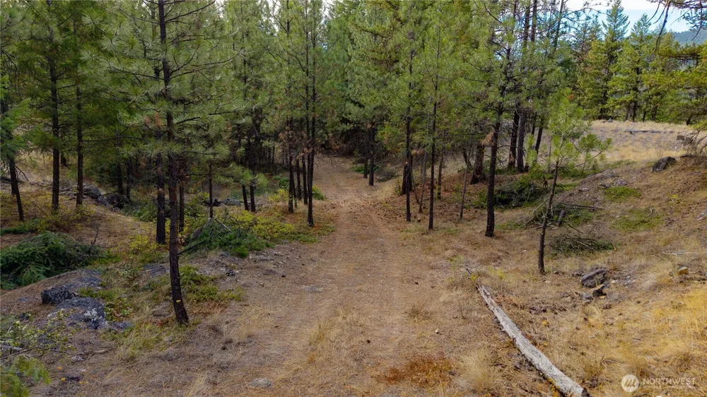 0 Eaglestone Road Tonasket, WA 98855