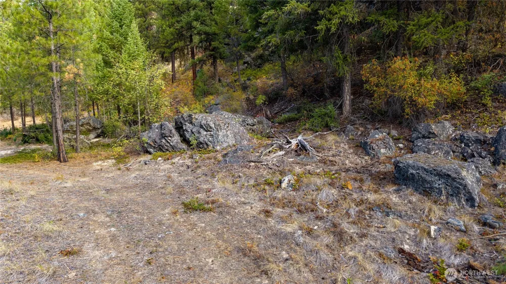 0 Eaglestone Road Tonasket, WA 98855