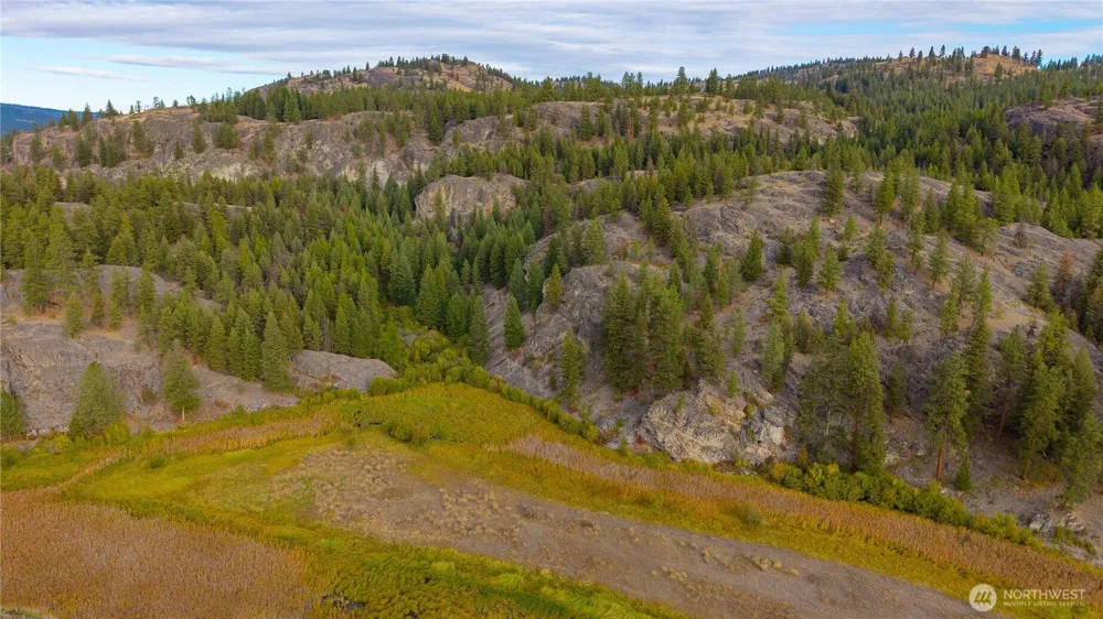 0 Eaglestone Road Tonasket, WA 98855