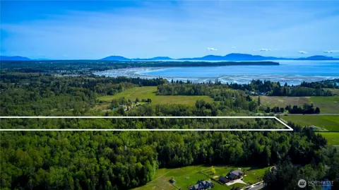 50 Acres Lincoln and Shintaffer Road