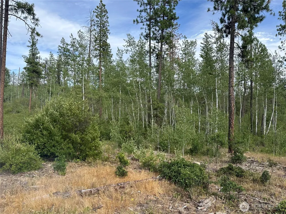 5 Greyback Mt Road Goldendale, WA 98620