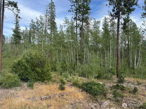 5 Greyback Mt Road