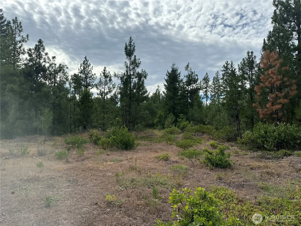 5 Greyback Mt Road Goldendale, WA 98620