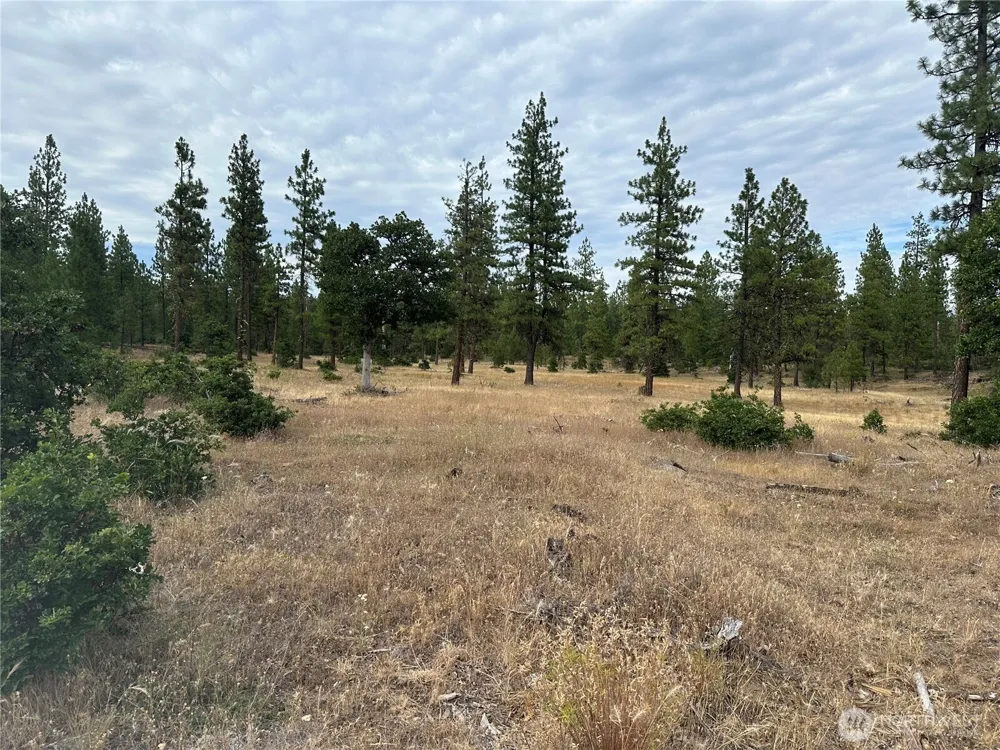 5 Greyback Mt Road Goldendale, WA 98620