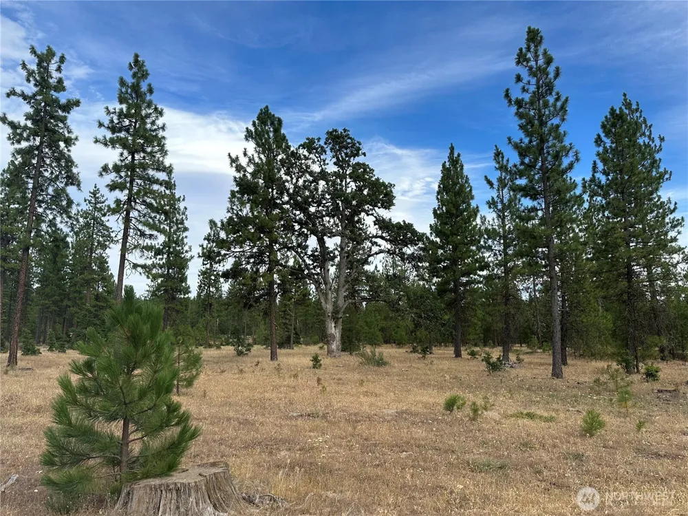 5 Greyback Mt Road Goldendale, WA 98620