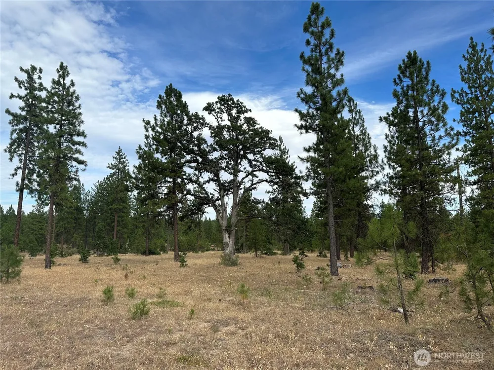 5 Greyback Mt Road Goldendale, WA 98620