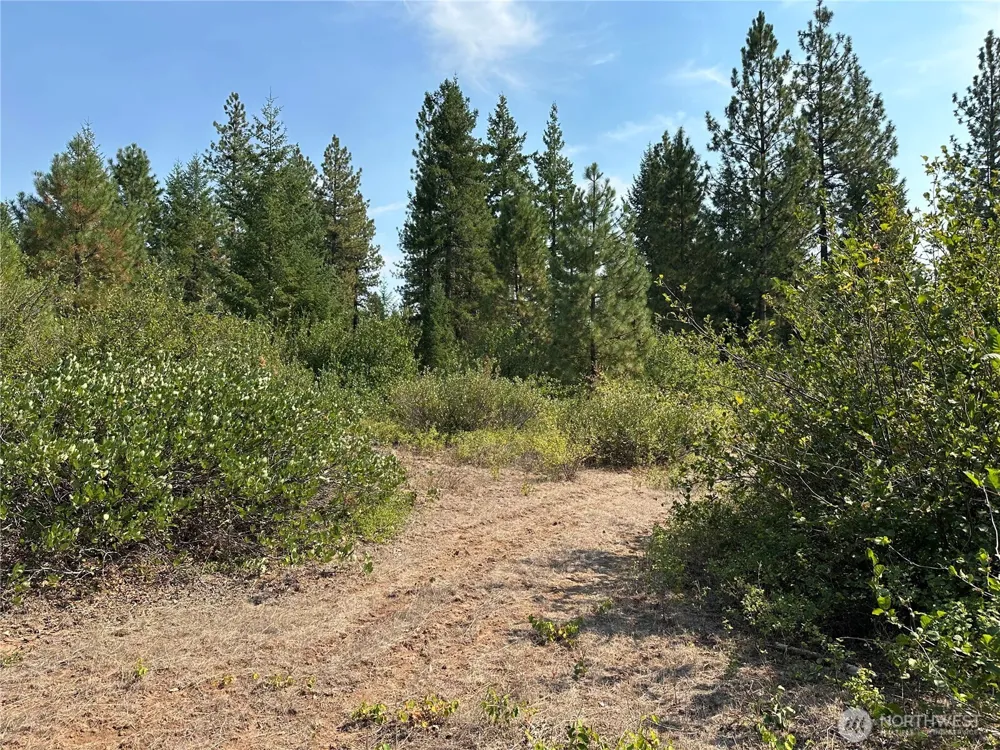 2 Cedar Monument Road Goldendale, WA 98620