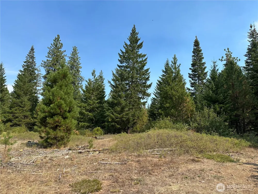2 Cedar Monument Road Goldendale, WA 98620