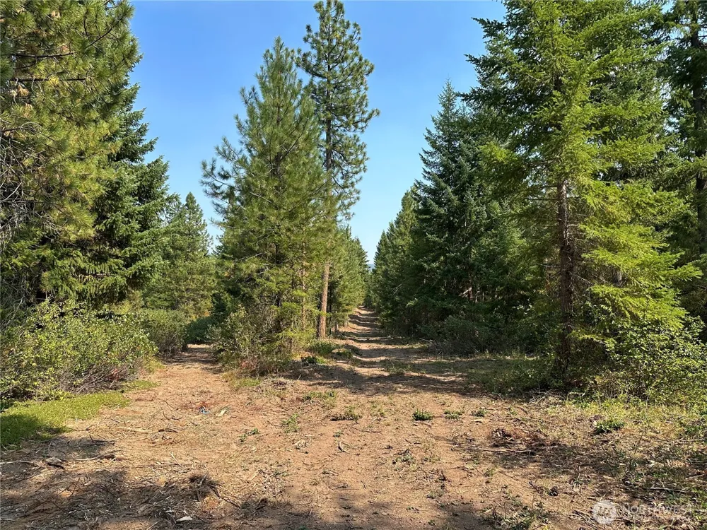 2 Cedar Monument Road Goldendale, WA 98620