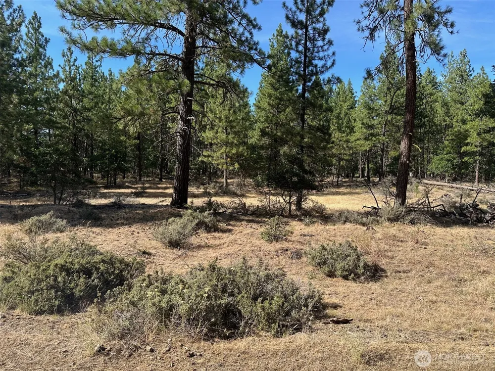 0 Lee Road Goldendale, WA 98620