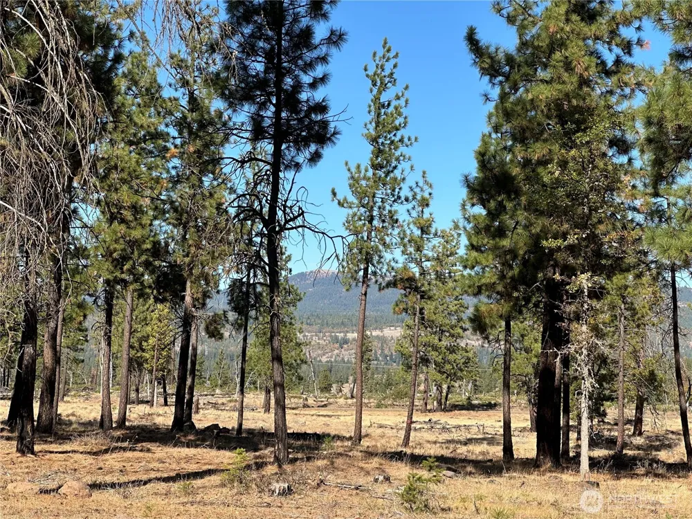 0 Lee Road Goldendale, WA 98620