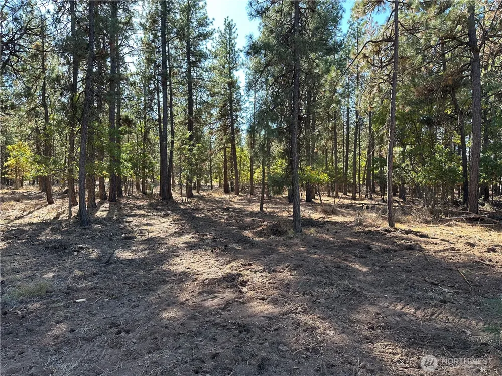 0 Lee Road Goldendale, WA 98620