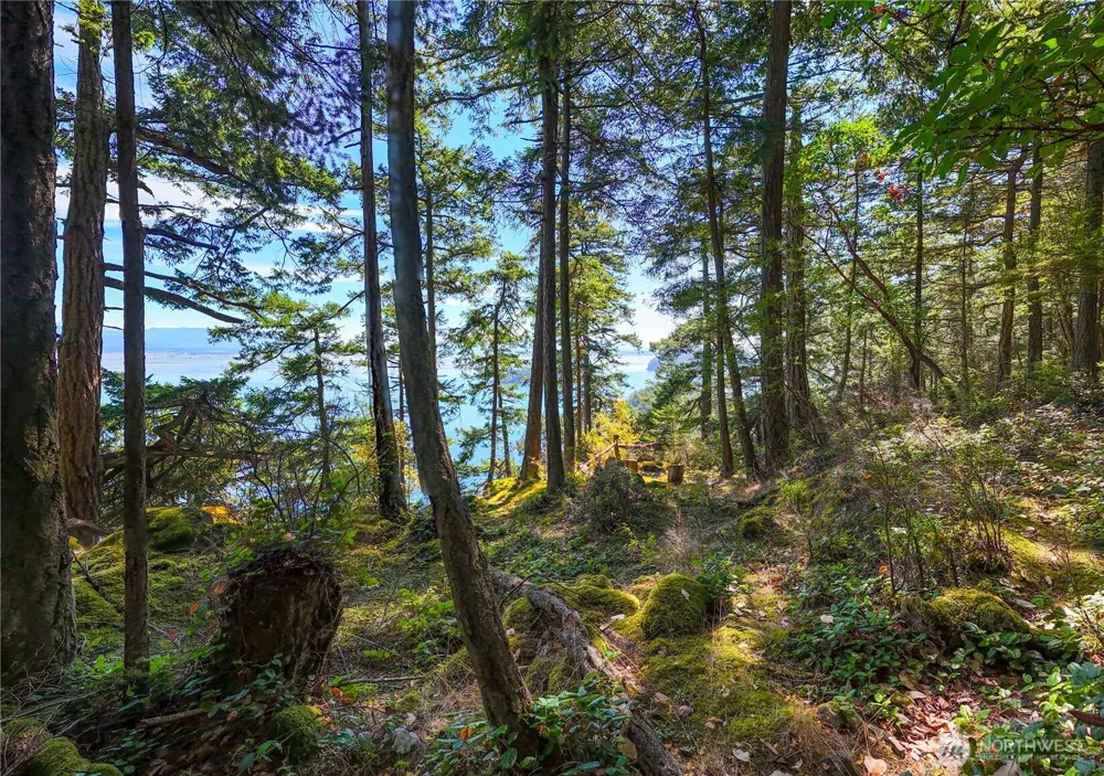 7121 Island View Drive Anacortes, WA 98221