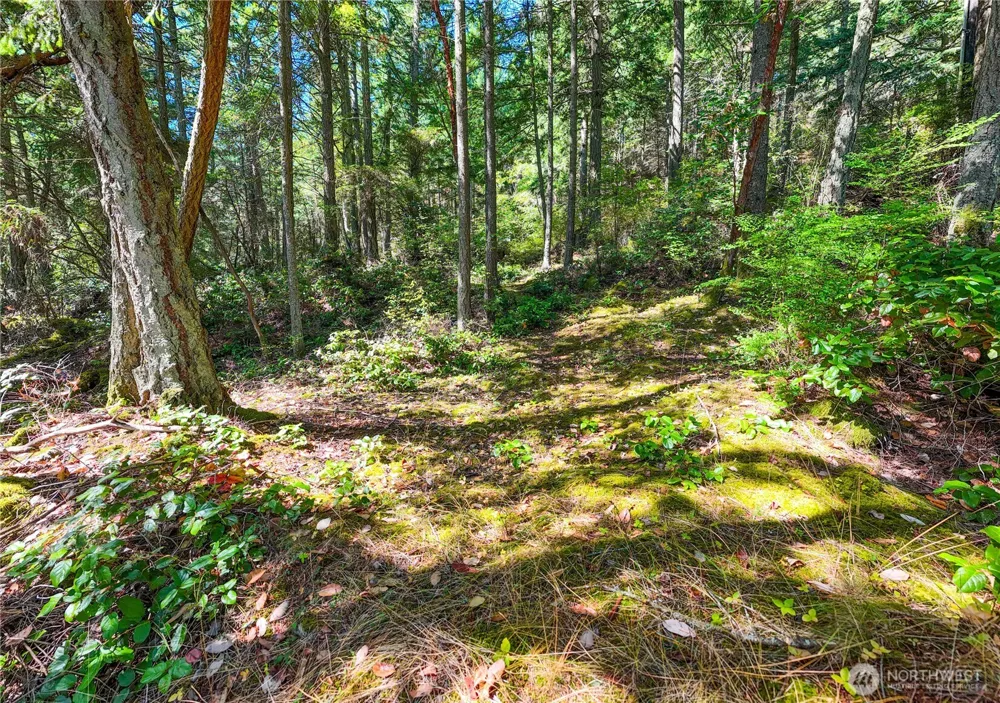 7121 Island View Drive Anacortes, WA 98221