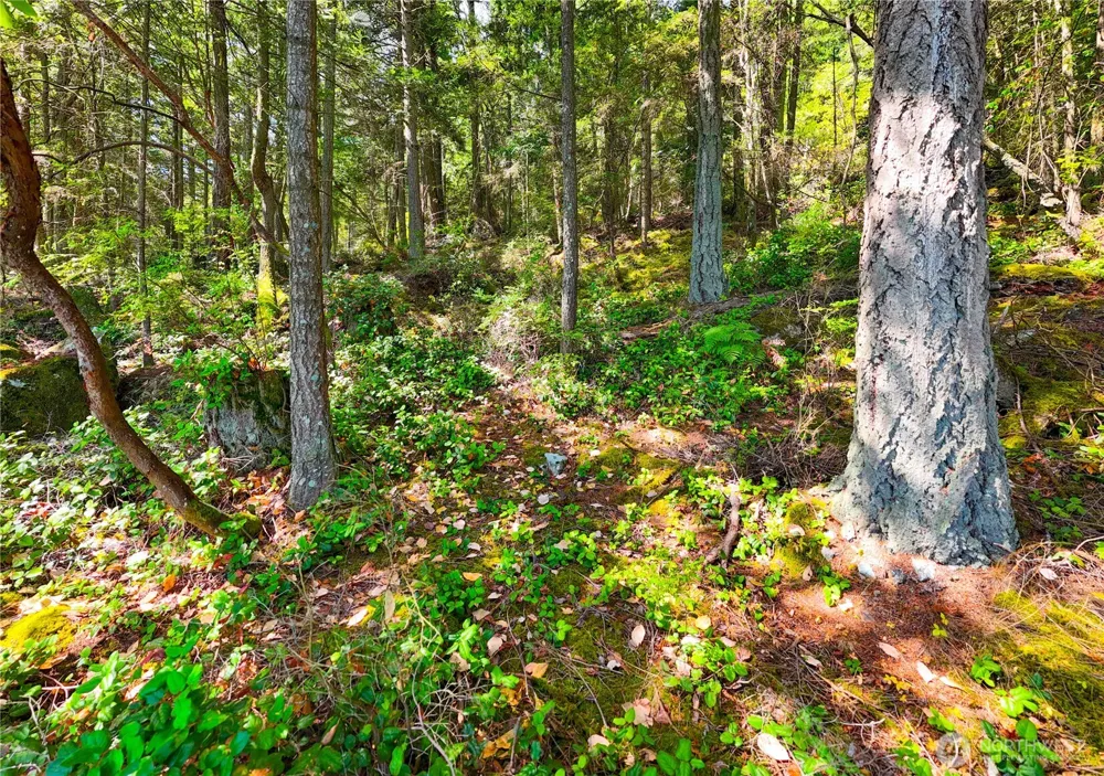 7121 Island View Drive Anacortes, WA 98221