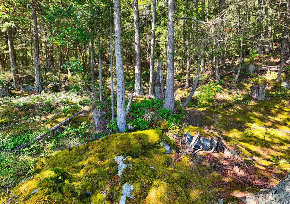 7121 Island View Drive Anacortes, WA 98221