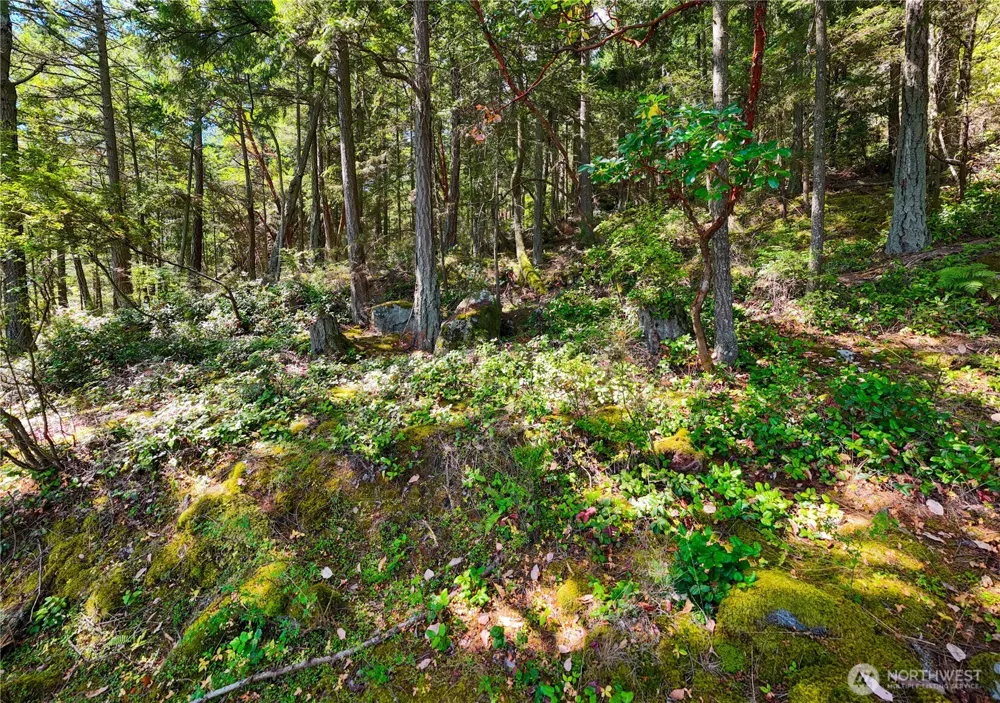 7121 Island View Drive Anacortes, WA 98221