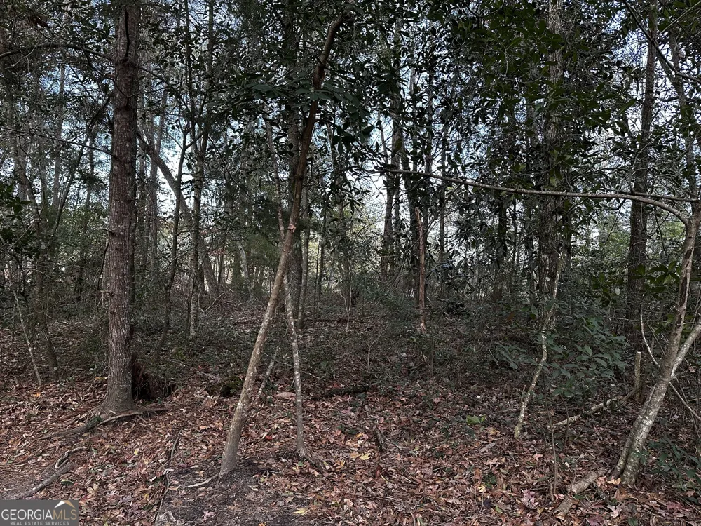 0 Marcia AVE Thomasville, GA 31792