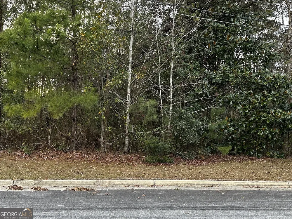 0 Marcia AVE Thomasville, GA 31792