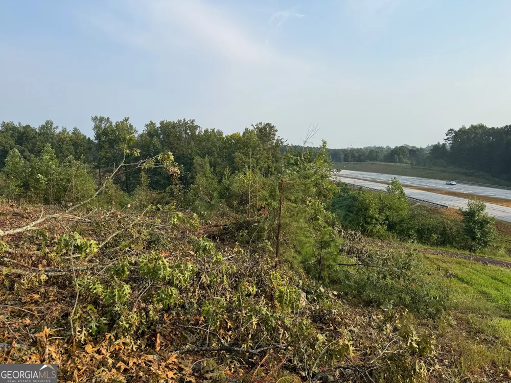 0 US Hwy 17 Martin, GA 30557
