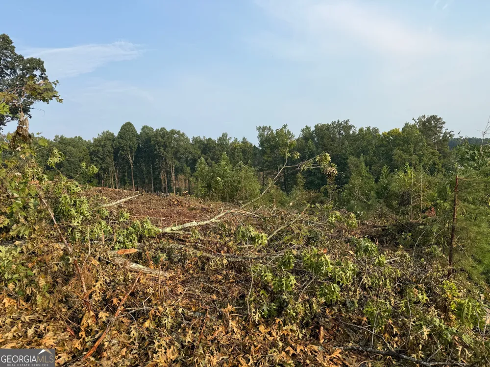0 US Hwy 17 Martin, GA 30557