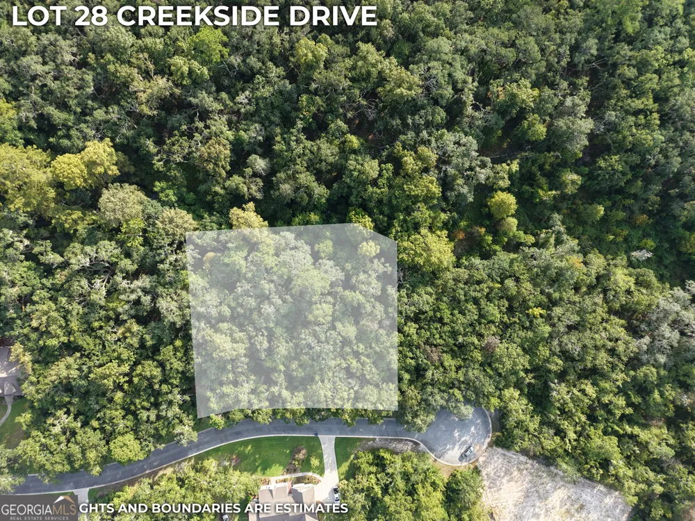 LOT 28 Creekside DR Waverly, GA 31565